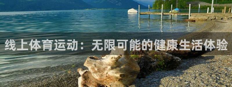 风动体育下载app：线上体育运动：无限可能的健康生活体验