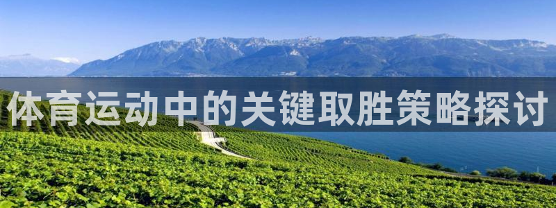 风动体育APP是正规的吗：体育运动中的关键取胜策略探讨