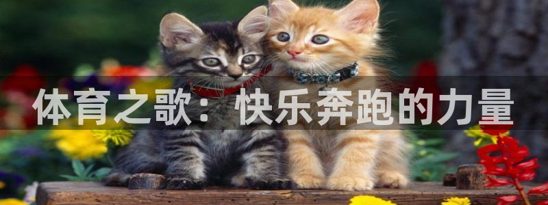 风动体育免费下载：体育之歌：快乐奔跑的力量