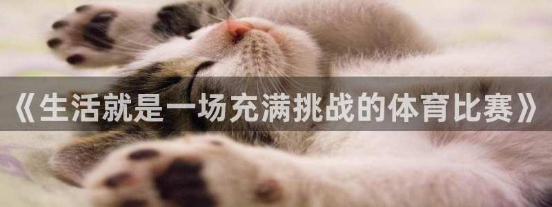 风动体育收费吗：《生活就是一场充满挑战的体育比赛》