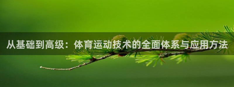 风动体育官网下载：从基础到高级：体育运动技术的全面体系与应用方法