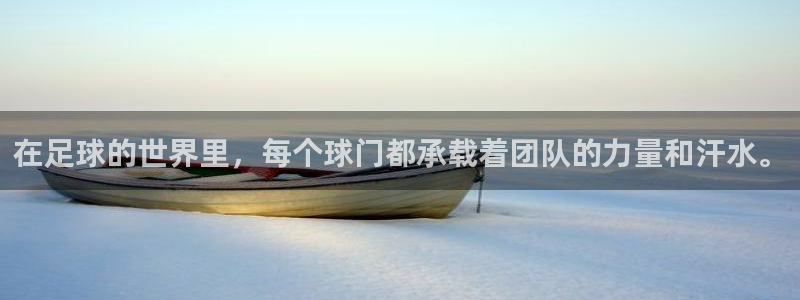 风动体育官网下载：在足球的世界里，每个球门都承载着团队的力量和汗水。