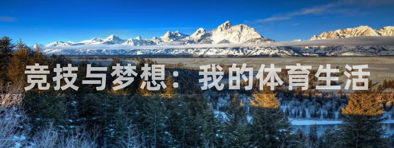 风动体育APP是正规的吗：竞技与梦想：我的体育生活