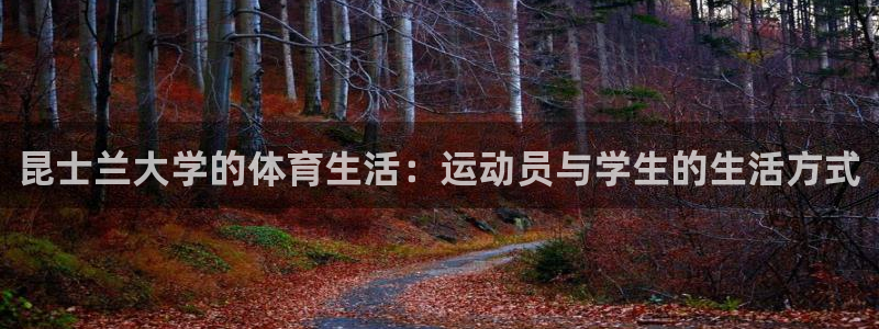 风动体育APP下载安装：昆士兰大学的体育生活：运动员与学生的生活方式
