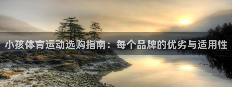 风动体育nike：小孩体育运动选购指南：每个品牌的优劣与适用性